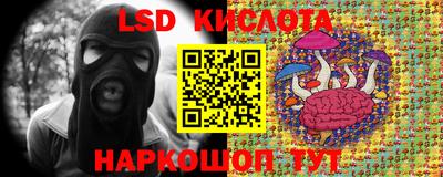 PSILOCYBIN Малгобек