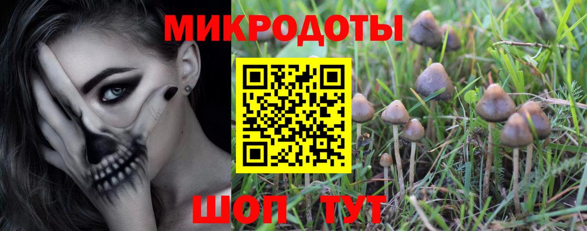 Конопля Северобайкальск